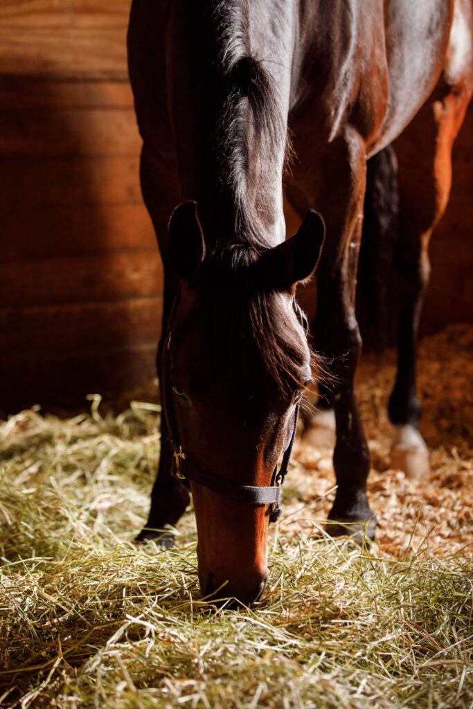 stall rest
