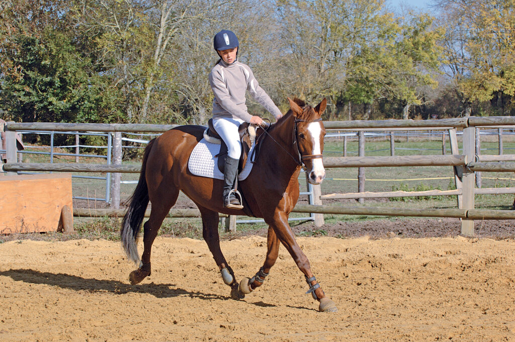 suppleness