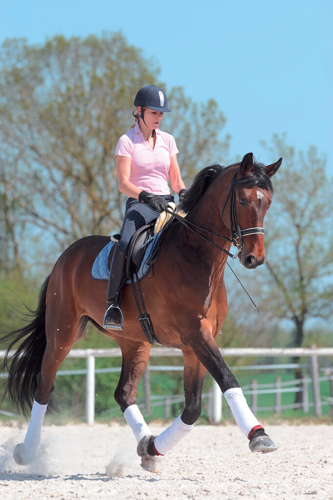 suppleness