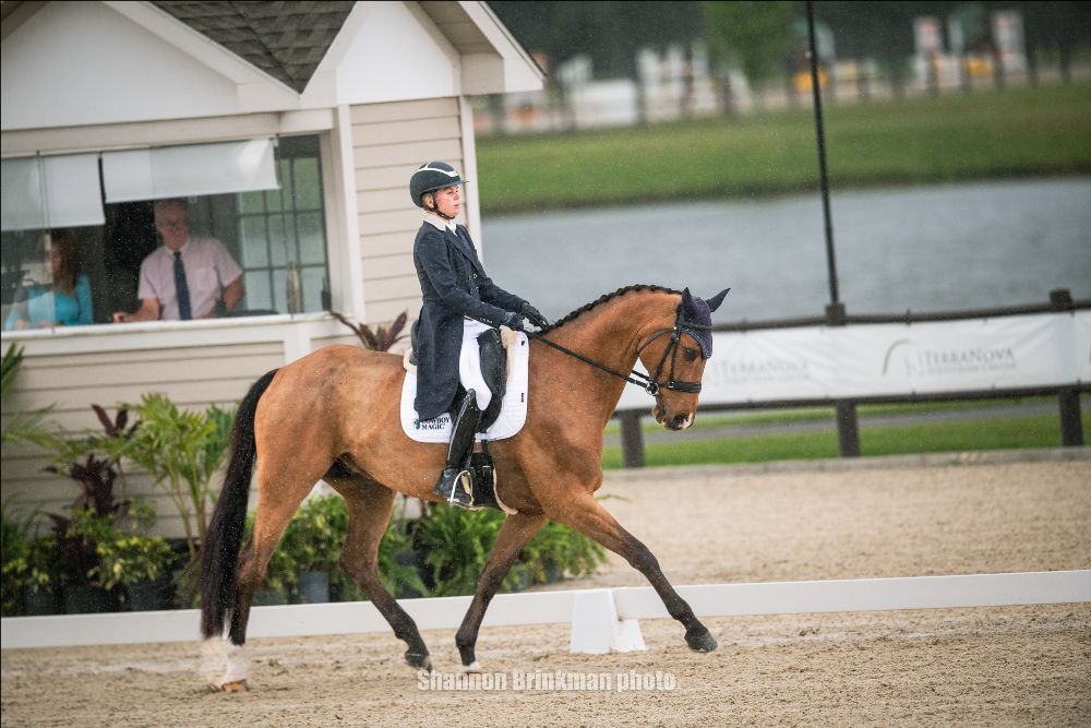 Event at TerraNova CCI4*-S