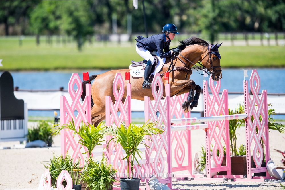 Event at TerraNova CCI4*-S