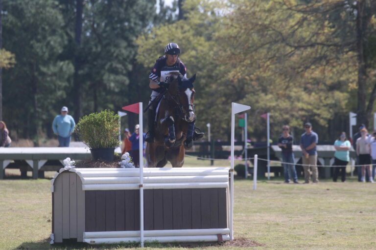 Stable View CCI4*-S