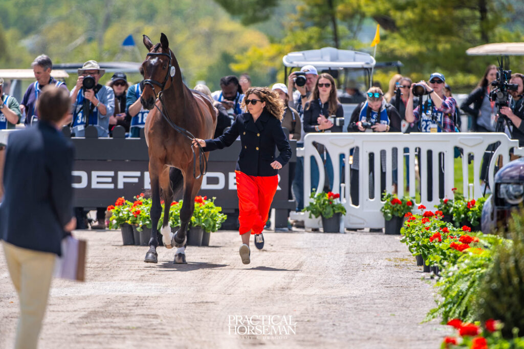 Kentucky Horse Inspection