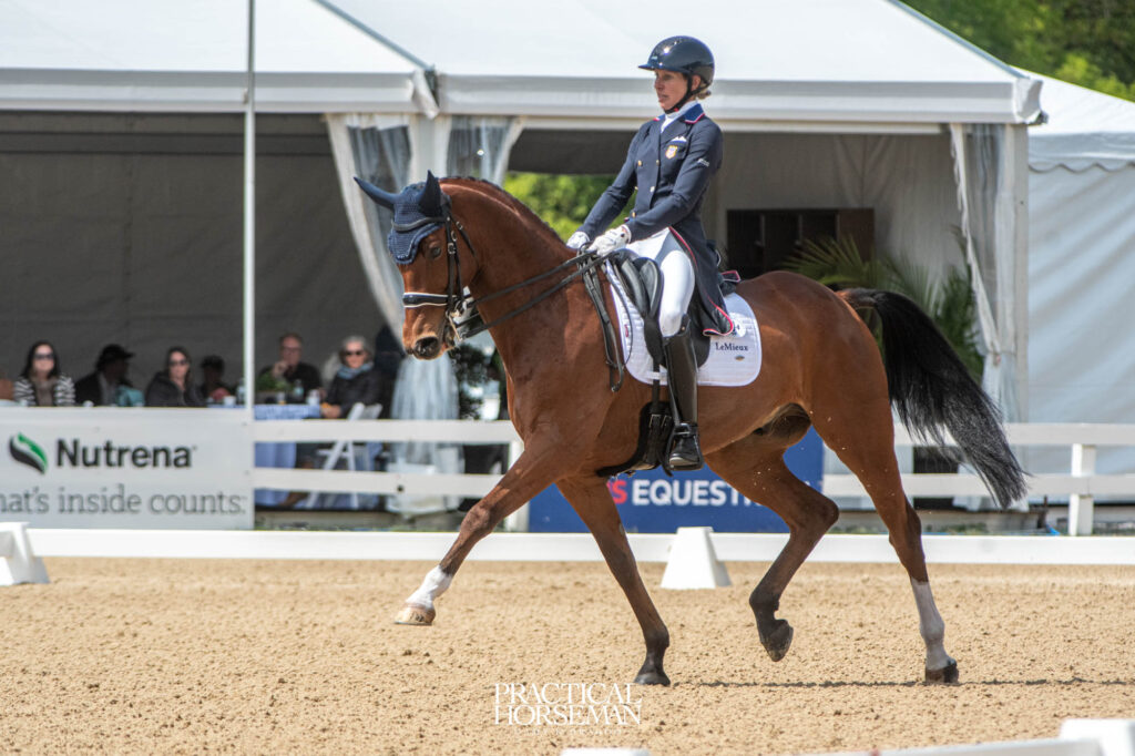 Halliday and Bellissimo Tie for Lead