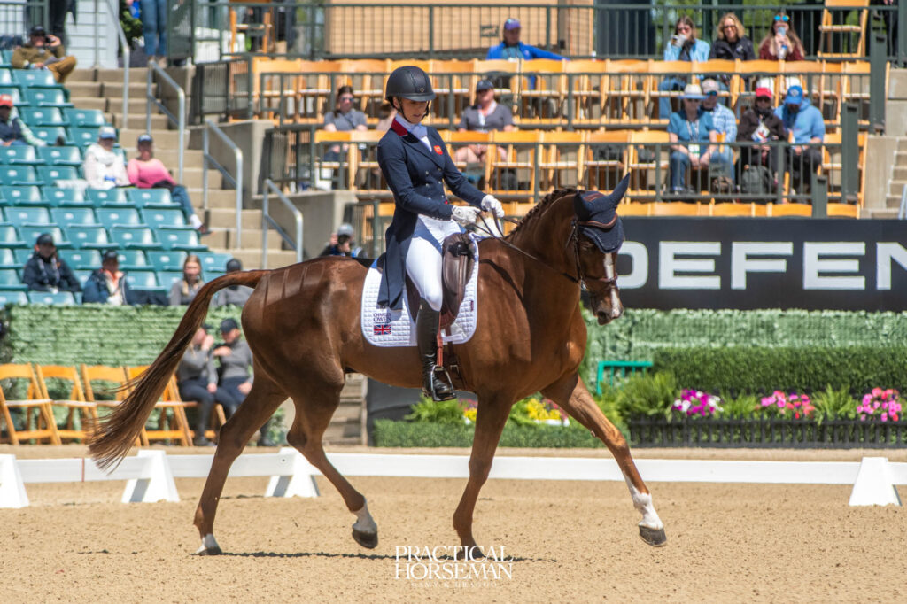 Ingham Dominates Dressage