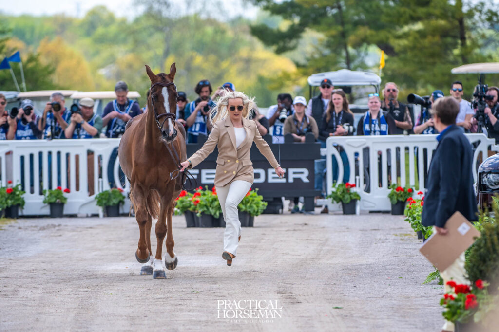 Kentucky Horse Inspectioin