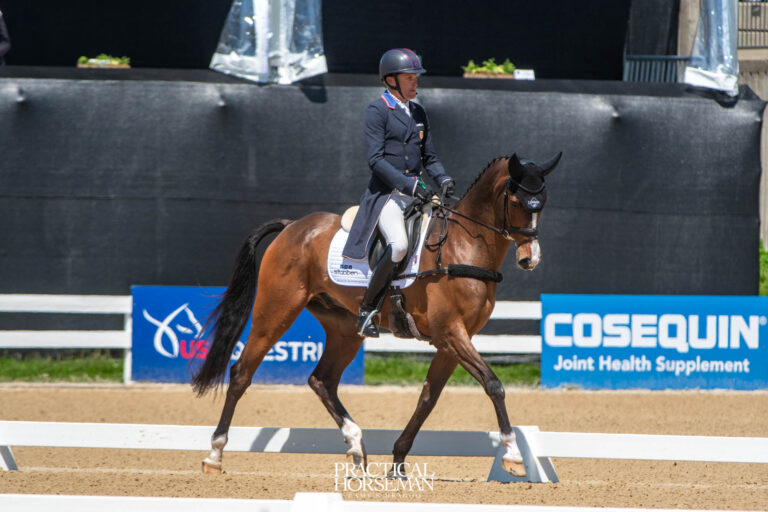 Martin (1)_Dressage