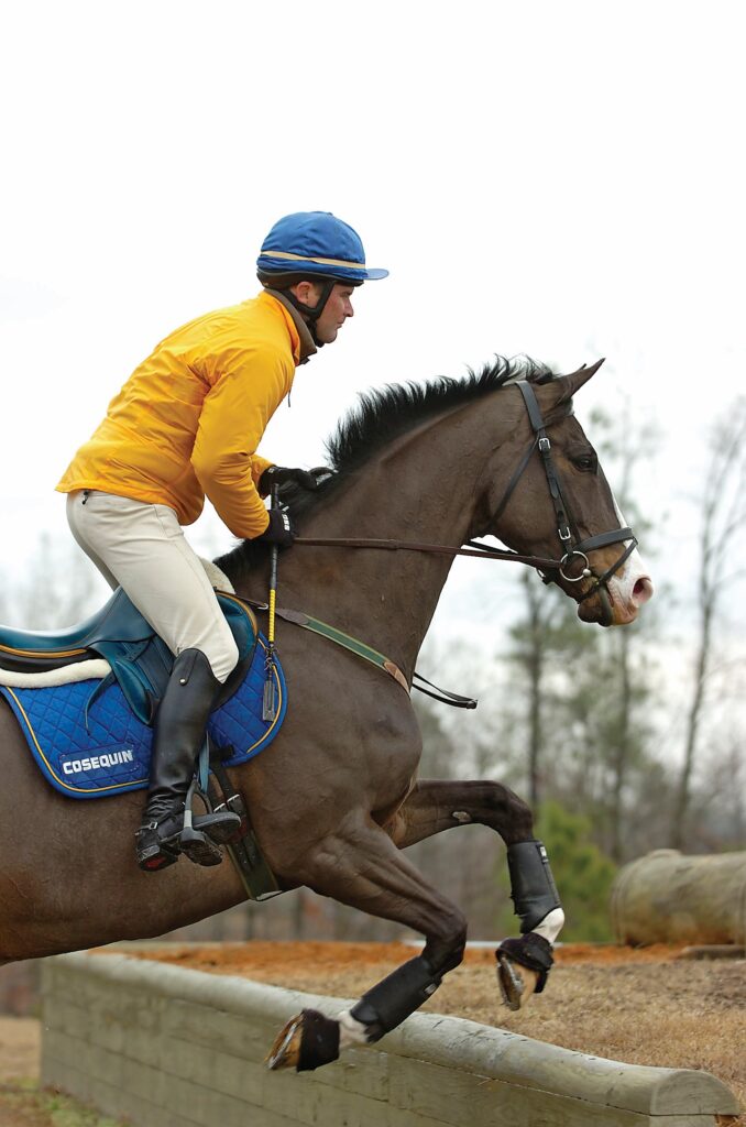 Jumping Up A Bank At Canter