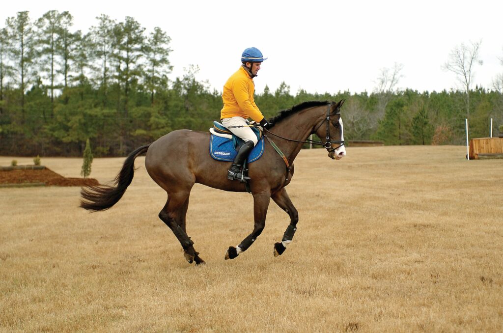Jumping A Bank at Canter