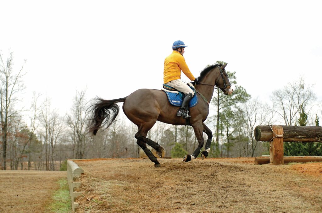 Jumping Up A Bank At Canter