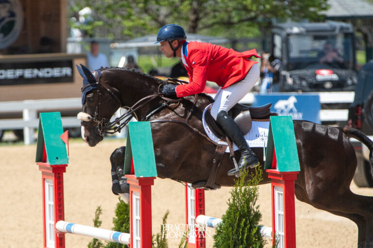 Man competing in stadium jumping on dark horse.