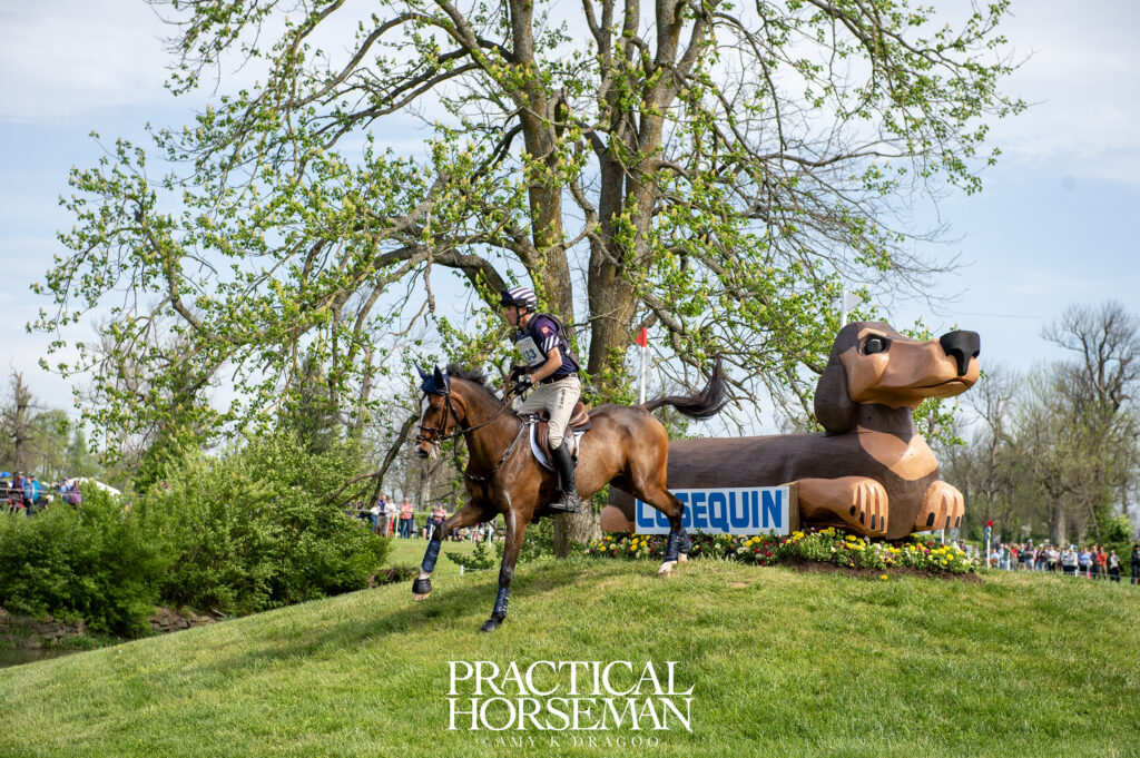 CCI4*-S Cross Country