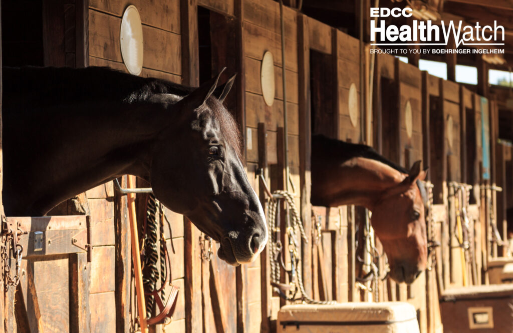 An unvaccinated Percheron gelding in Clare County, Michigan, recently tested positive for EEE and was euthanized. 