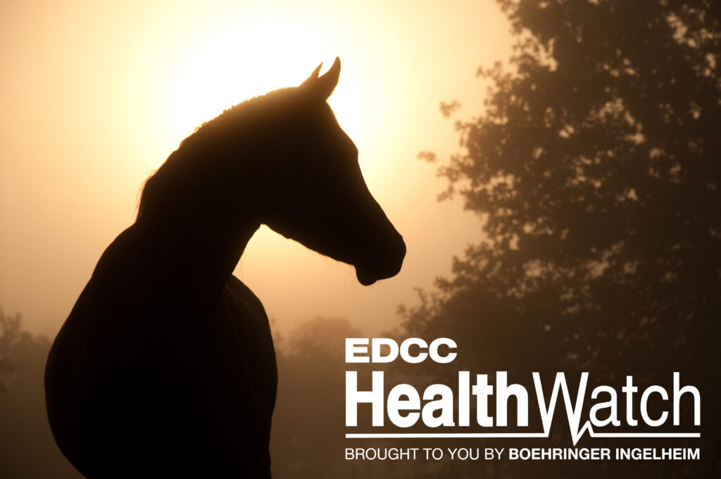 An unvaccinated Quarter Horse mare in Brevard County, Florida, recently tested positive for WNV.