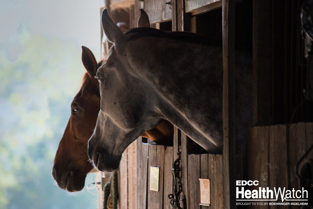Seven horses on a premises in Meadow Lake No. 588, Saskatchewan, have tested positive for EIA. 