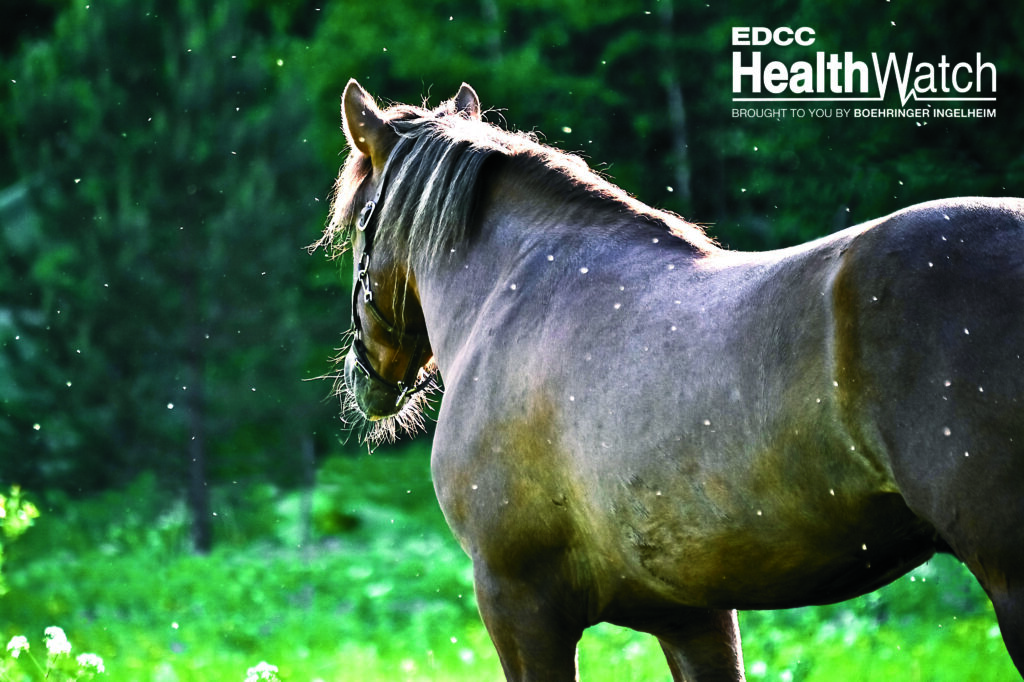 An unvaccinated mare in Hastings County, Ontario, was recently euthanized after contracting EEE.