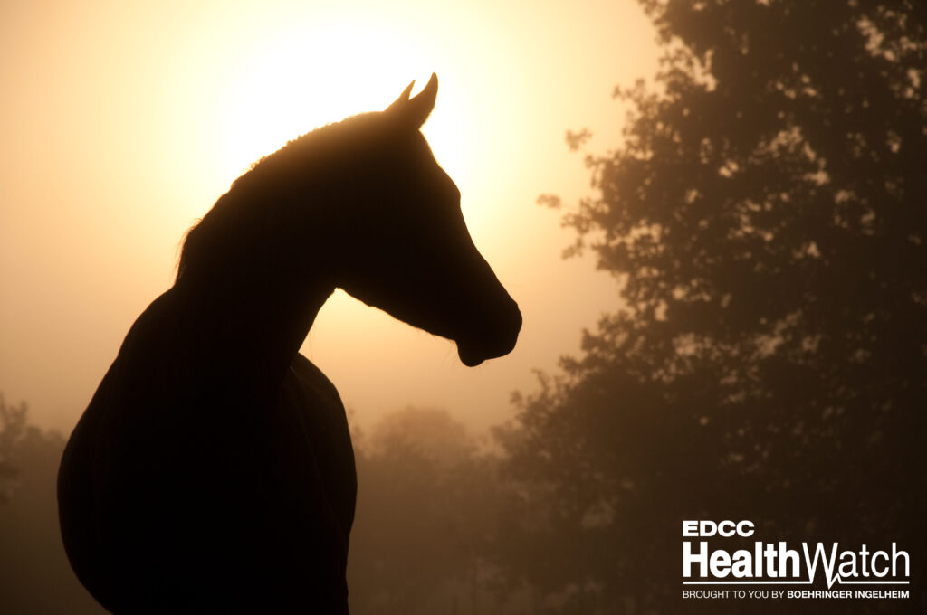 Two horses in Florida, located in Duval and Levy counties, recently tested positive for EEE and were euthanized.  