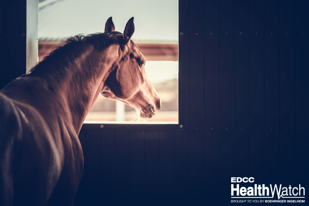 A horse in Vermilion River County, Alberta, recently tested positive for EIA.