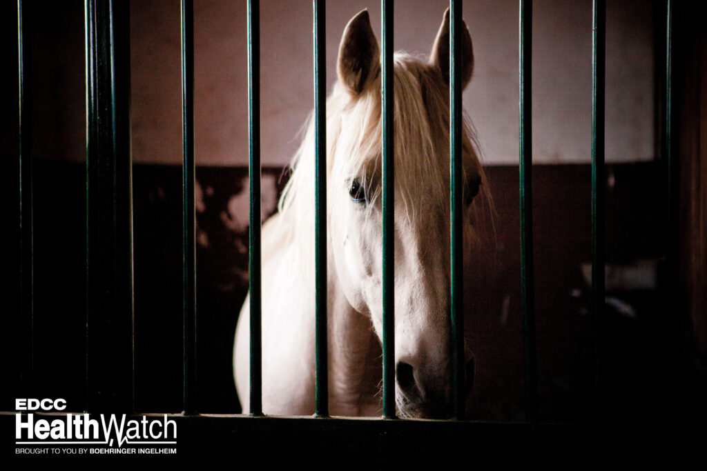 A pony in Monroe County, Wisconsin, recently tested positive for EHV and was euthanized, and two additional cases are suspected.