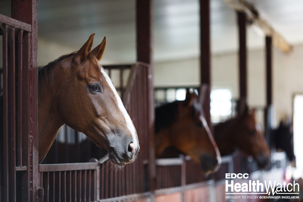 Twelve horses at the Los Alamitos racetrack in Orange County, California, are positive for EIA, and additional horses that were racing under the same trainer are positive in New Mexico and Texas.