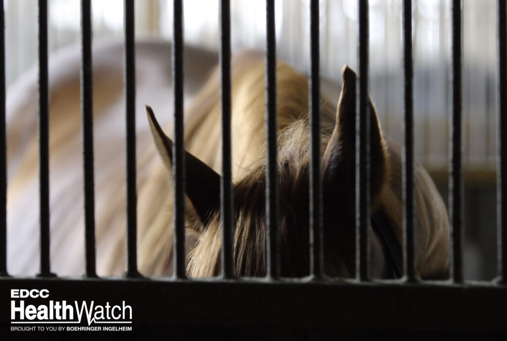 An unvaccinated horse in McCurtain County, Oklahoma, recently tested positive for WNV and is now recovering.