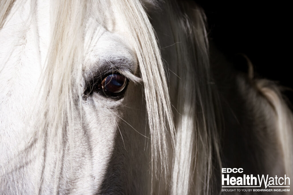 An unvaccinated horse in Montérégie, Quebec, recently tested positive for EEE and was euthanized. 