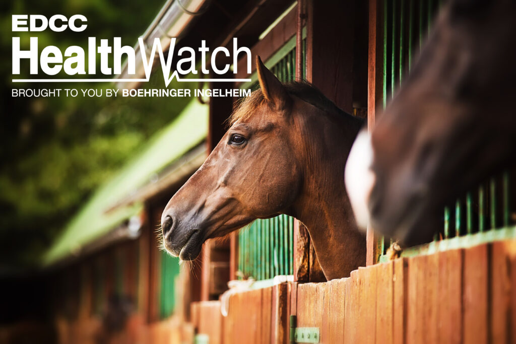 An unvaccinated Saddlebred gelding in Lewis County, Kentucky, recently tested positive for WNV.