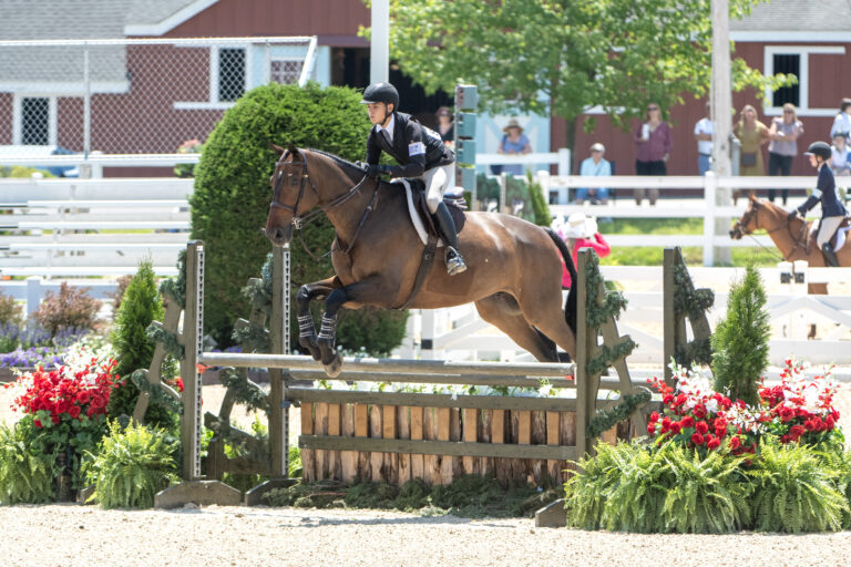 Maclay_Torano_2