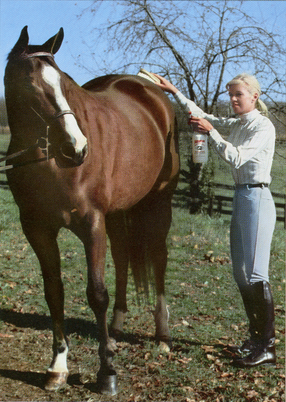 Image of a brown horse and blonde woman, using ShowSheen product during a grooming session.