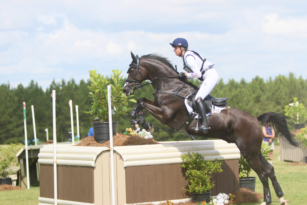Woman jumping dark horse on cross country course.