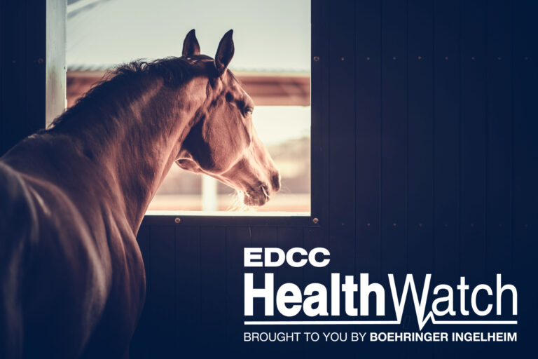 EDCC-Image-11-Larger-Logo-scaled