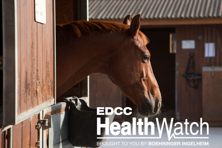 EDCC-Image-15-Larger-Logo-scaled