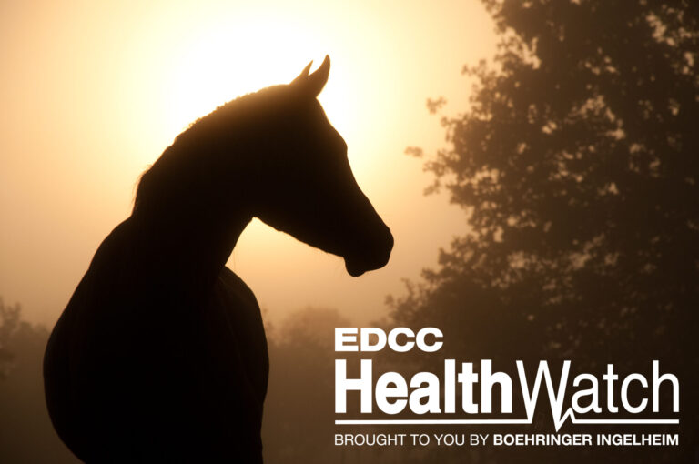EDCC-Image-12-Larger.-Logo-scaled