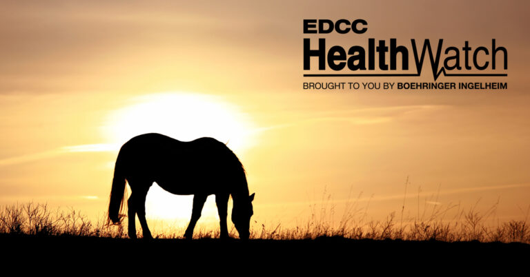 EDCC-rsz-4