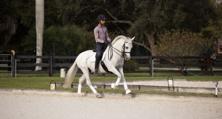 3A_Canter_0V6A9301 copy