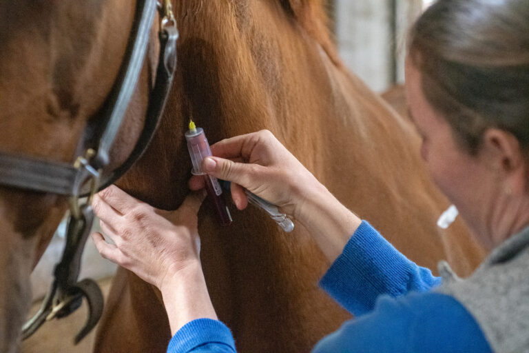 BloodDraw_1