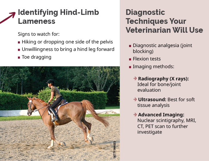 Tips for identifying himd-limb lalmeness as well as common diagnostic techniques
