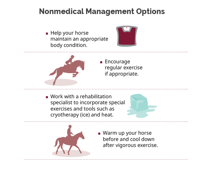 Nonmedical management options for equine osteoarthritis