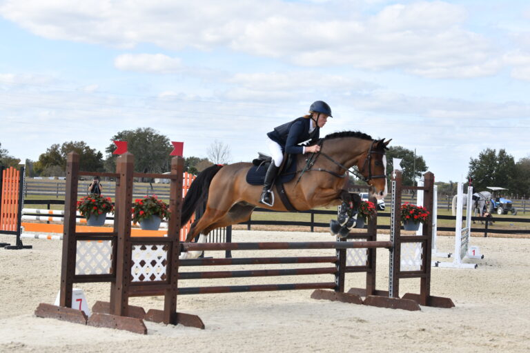 RockingHorse_option2