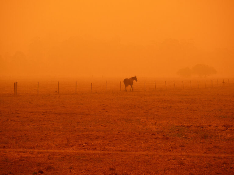 Smoke Haze from Black Summer Bushfires near Merimbula 2019