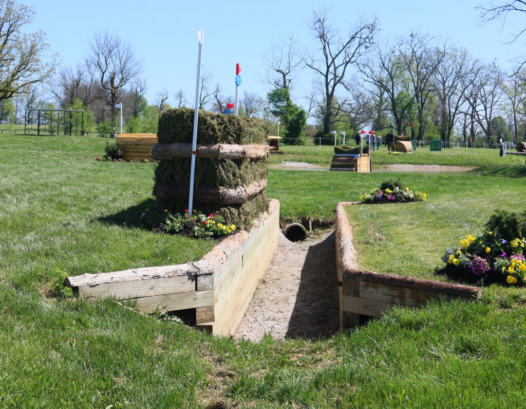 11 Angled Hedge - a large hedge jump with a ditch on the takeoff side. ©Alana Harrison