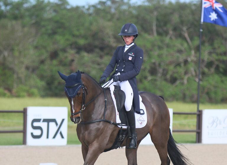 OTTB_Dressage_Thumbnail