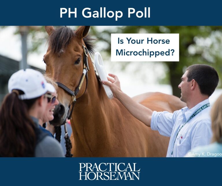 PH_ GP Microchip