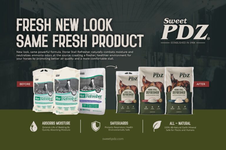 PDZ_Fresh New Look Ad