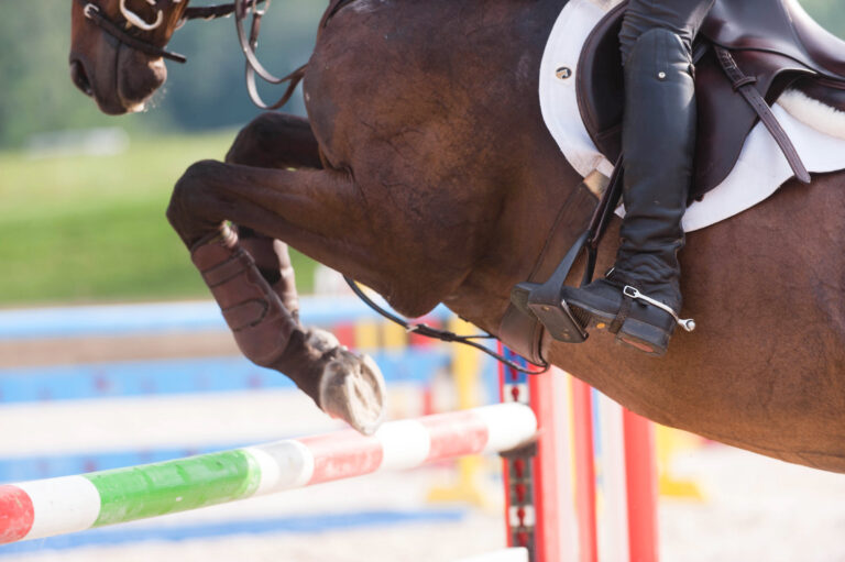 SafetyStirrup_1 copy