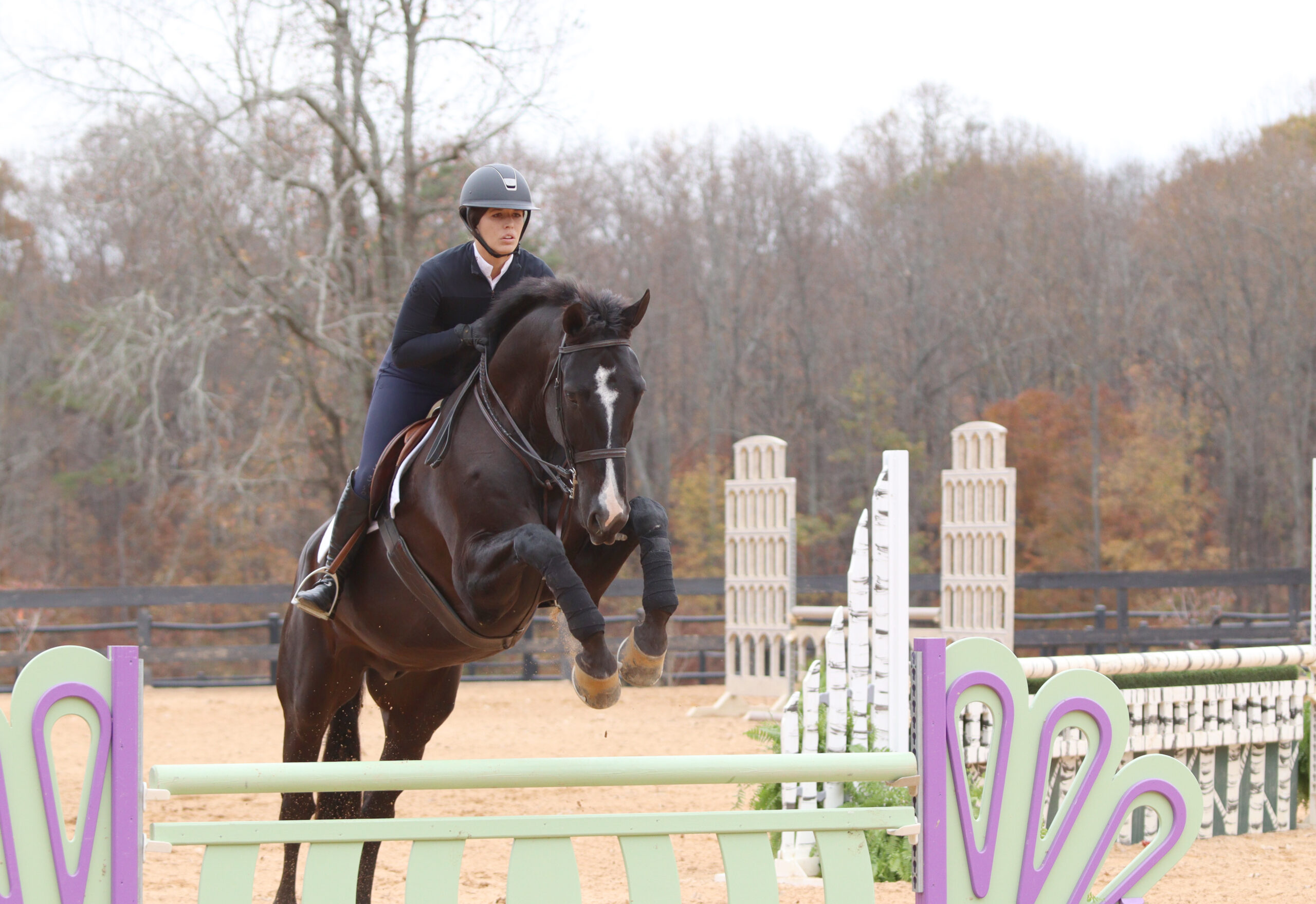 Holly_Opener_USE-scaled