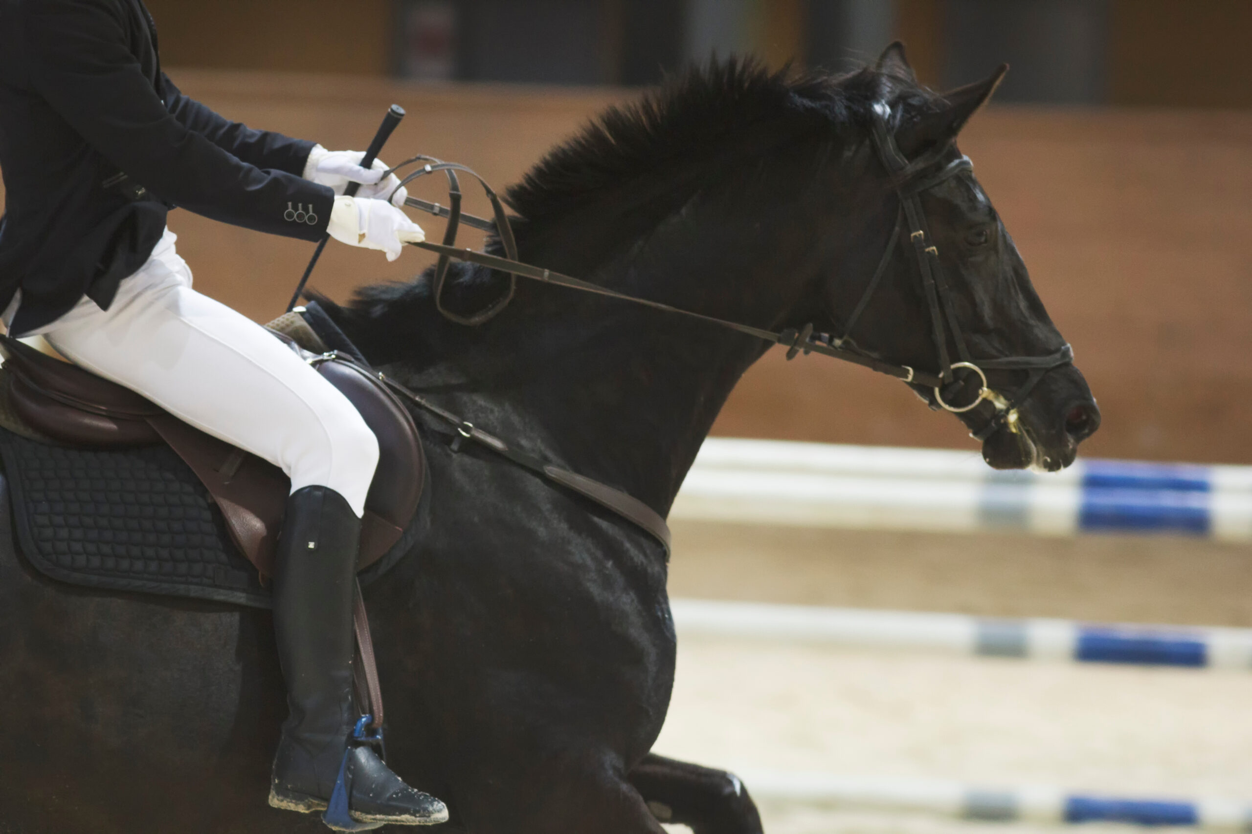 Young rider sitting on black horse at the show jumping competition