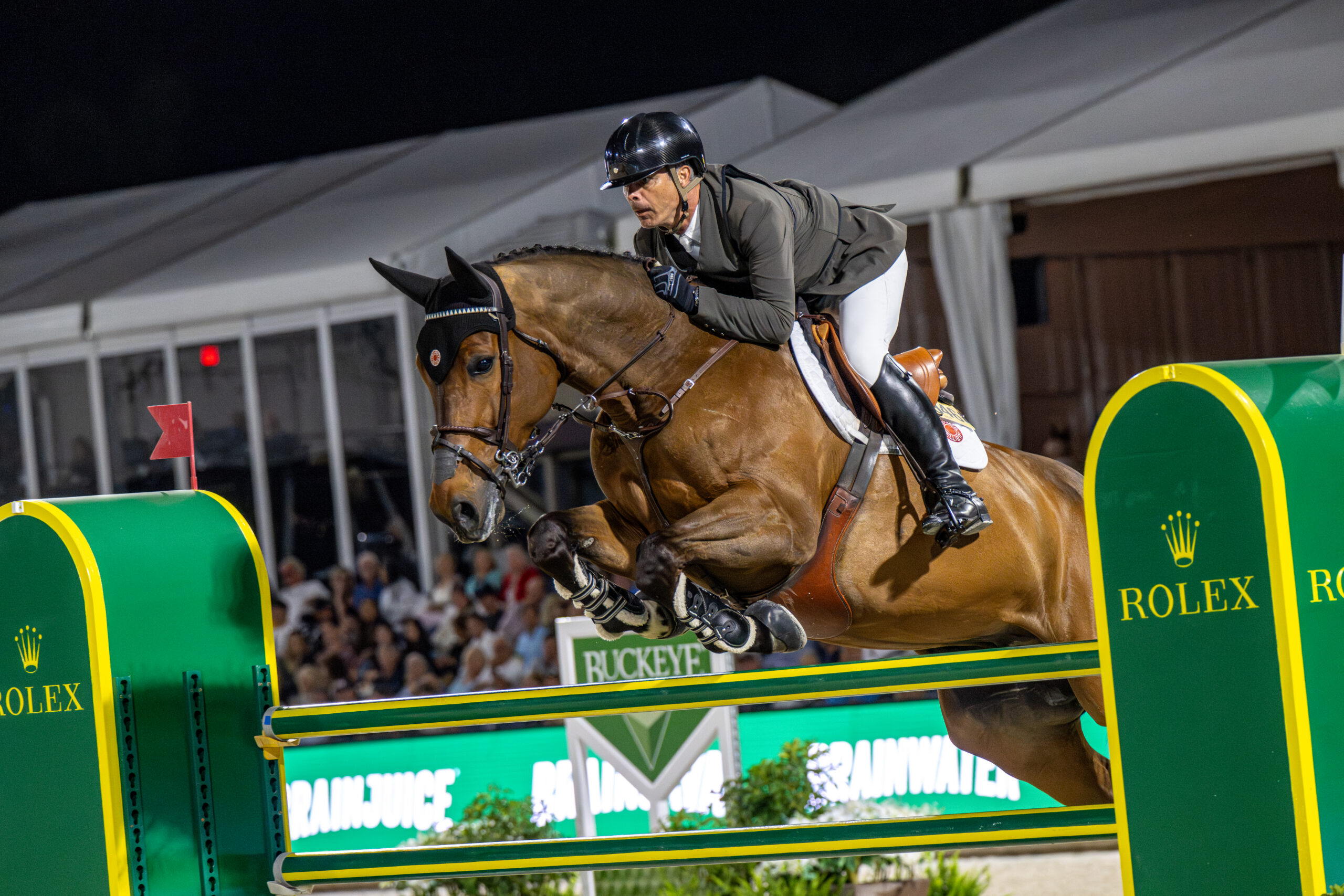 Rodrigo Pessoa (BRA)Prins van't Eigenlo