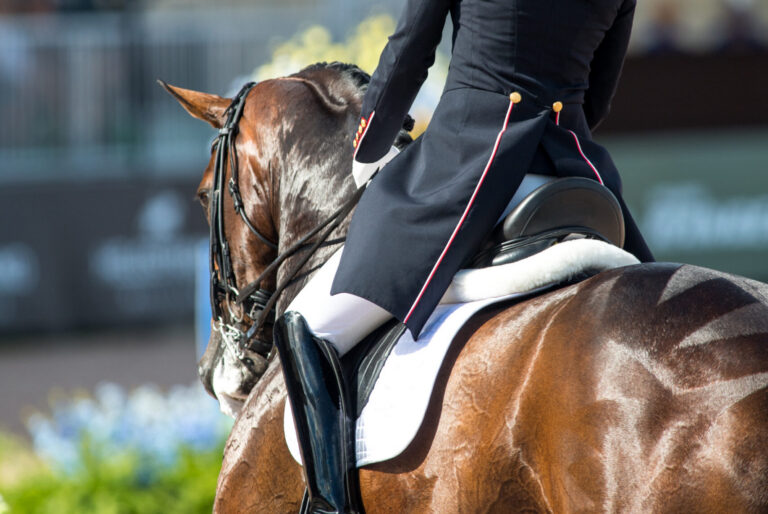 CHARLOTTE DUJARDIN (GBR)MOUNT ST JOHN FREESTYLE