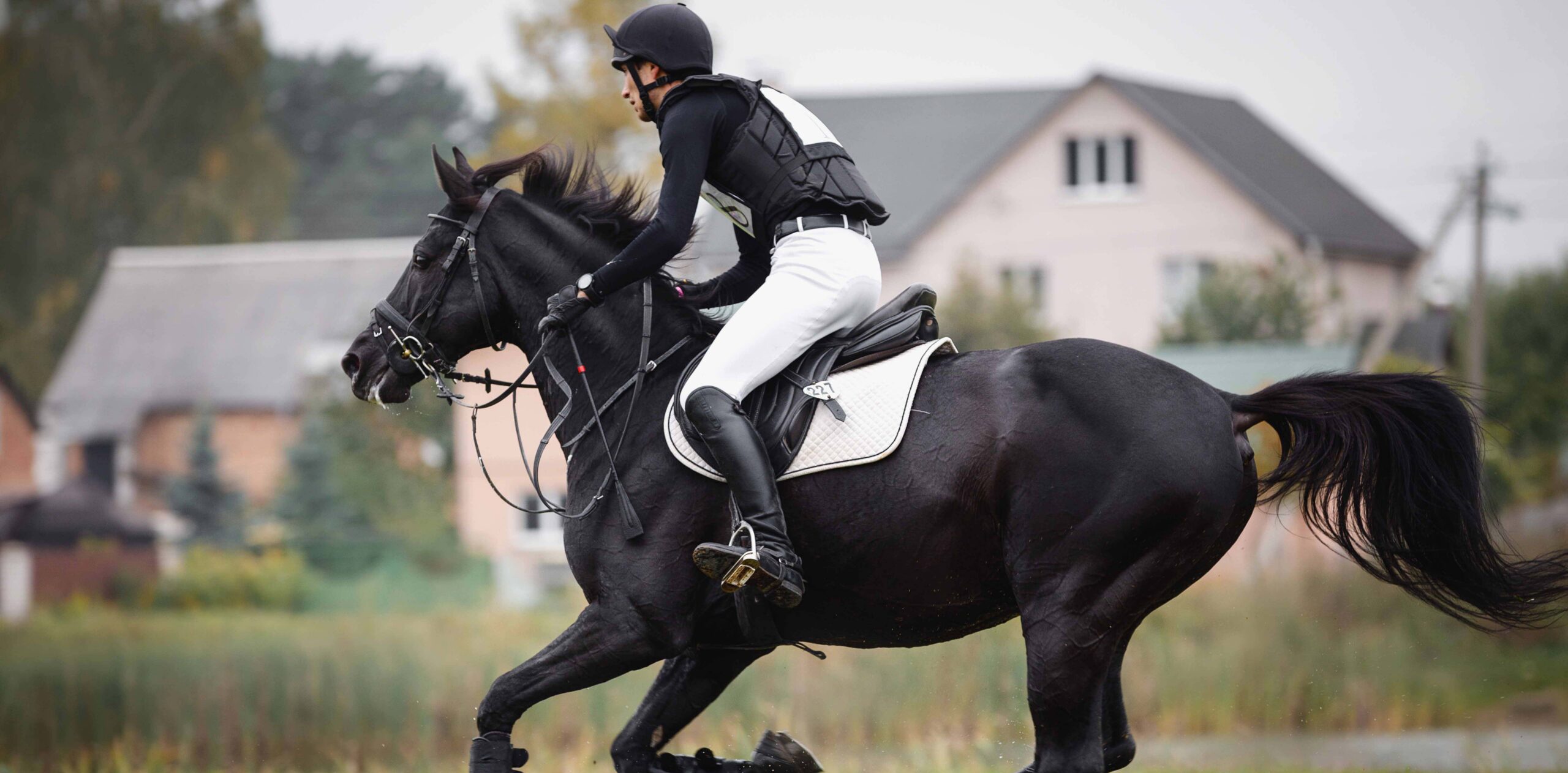 portrait of rider man and black stallion horse galloping during